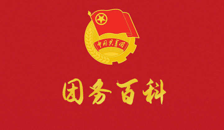 关于规范使用团旗、团徽等团内标志标识的公告