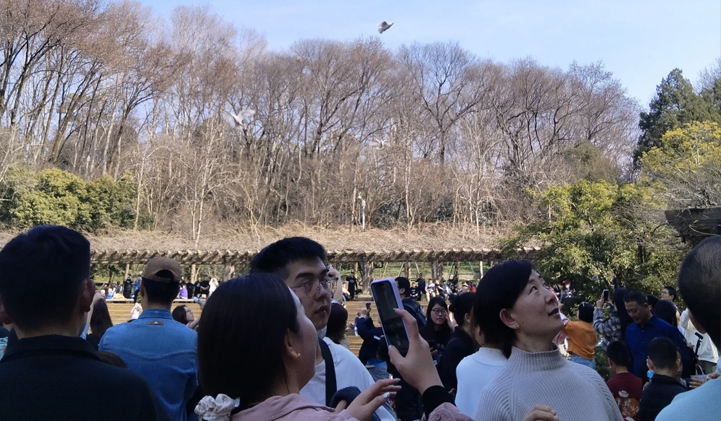 “山东邂逅美”摄影大赛丨新年蓝天白鸽游人