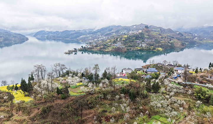 思南县青年摄影家协会：瓦窑花