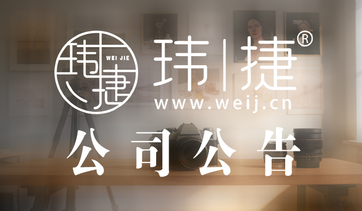 玮捷品牌体系官宣｜旗下三家公司品牌统一，一体化协同发展