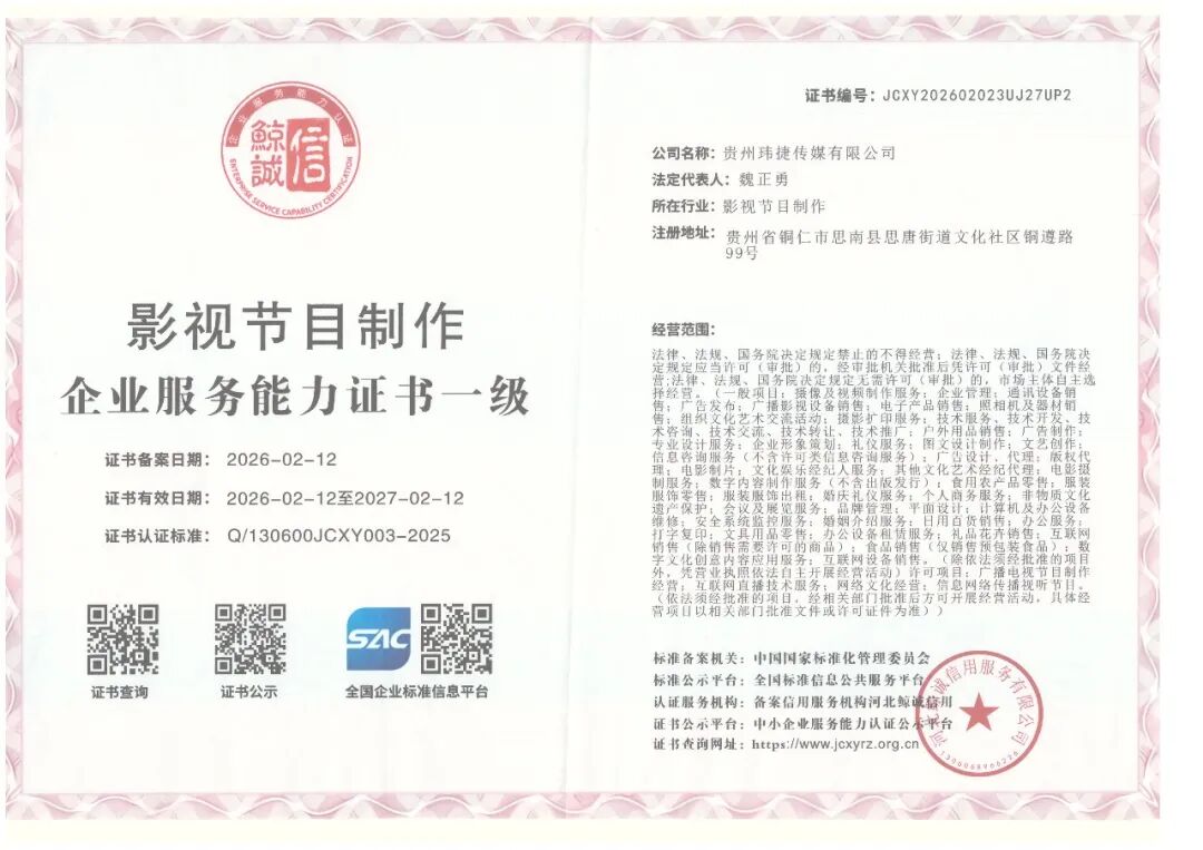 影视节目制作企业服务能力一级